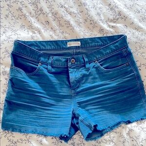Carve Design Oahu short